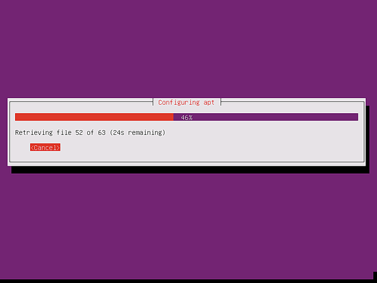 Apt is being configured