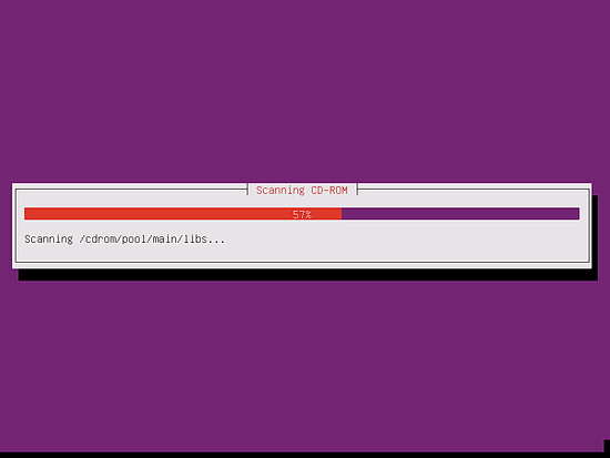 The installer scans the CD image for packages.