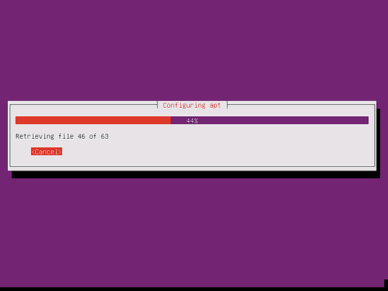 Apt is being configured