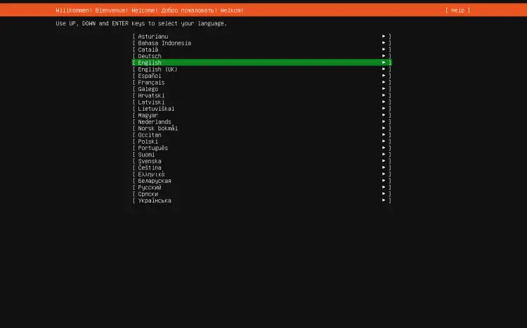 Choose installation language