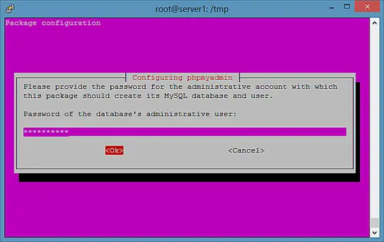 Password of the database's administrative user.