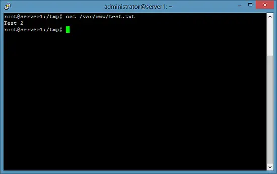 Output of the cat command on Server 1.