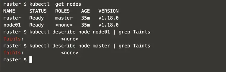 describe-nodes-and-check-taints