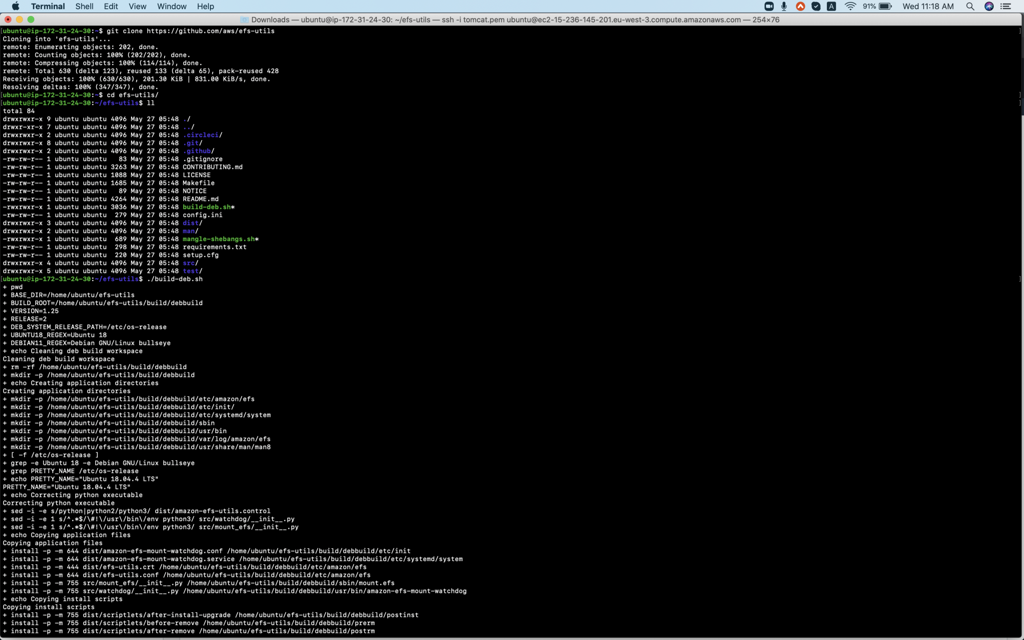 What is EFS (Elastic File System) in AWS and how to use it