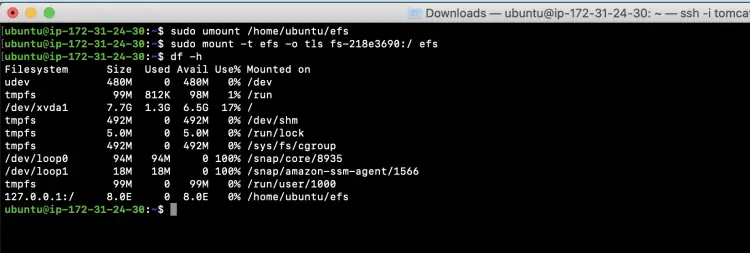 Mount EFS with TLS