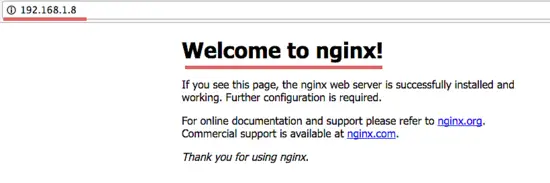 Nginx has been started