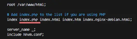 Nginx index html